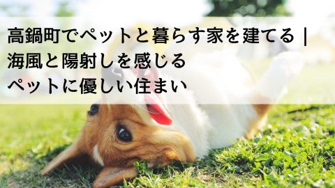 高鍋町でペットと暮らす家を建てる｜海風と陽射しを感じるペットに優しい住まい