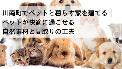 川南町でペットと暮らす家を建てる｜ペットが快適に過ごせる自然素材と間取りの工夫