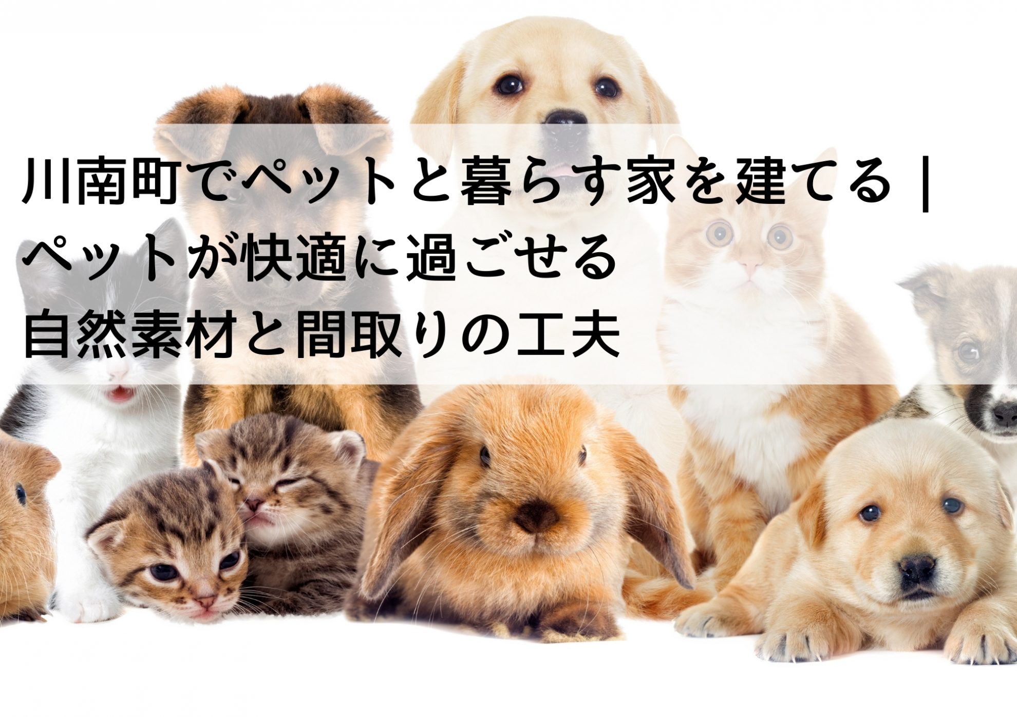 川南町でペットと暮らす家を建てる｜ペットが快適に過ごせる自然素材と間取りの工夫