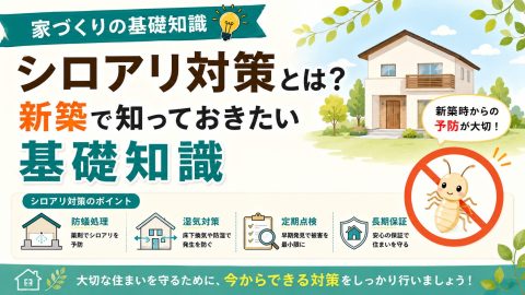 【家づくりの基礎知識】シロアリ対策とは？新築で知っておきたい基礎知識